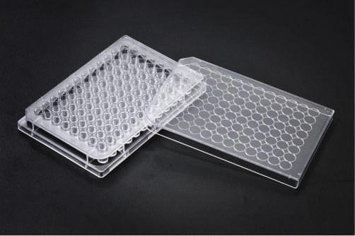 34096  96׶׼B(yng)pstcRף85.4x127.6mm  nSPLĲ